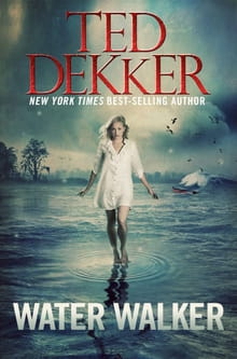 Water Walker Stumbles on Murky Storyline Christian Books Review, Excerpts